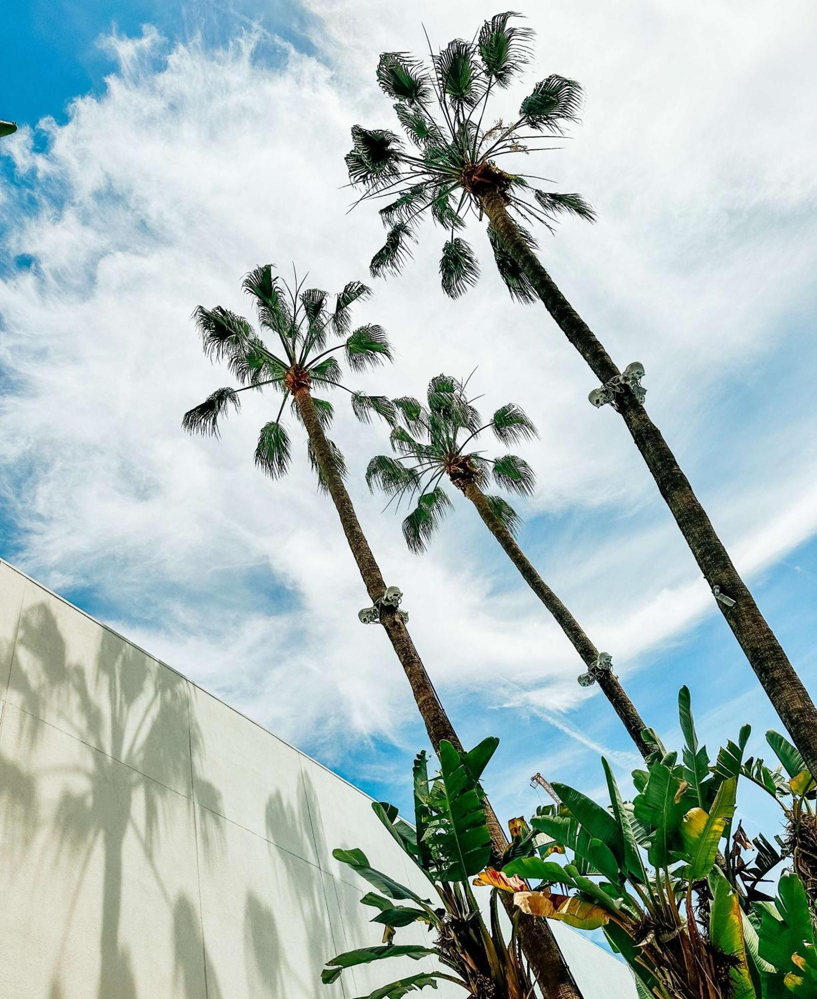 The Beverly Hilton Los Angeles Ngoại thất bức ảnh